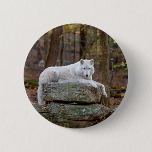 Wolf in Herfst Ronde Button 5,7 Cm