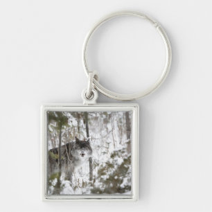 Wolf in het bos in de winter sleutelhanger