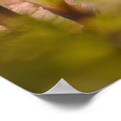 Wolf in het bos poster (Hoek)