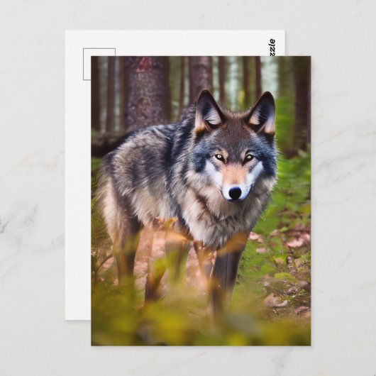 Wolf in het Briefkaart van de bossen (Voorkant / Achterkant)