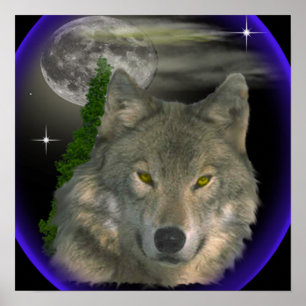 wolf in het poster van de nacht