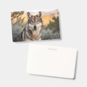 Wolf in het wild badge (Voor- en achterkant)