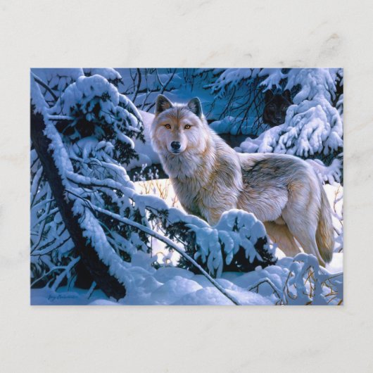Wolf in het winterbosschilderij briefkaart (Voorkant)