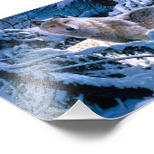 Wolf in het winterbosschilderij foto afdruk (Hoek)