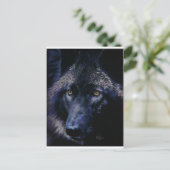 Wolf in moonlight (a) briefkaart (Staand voorkant)