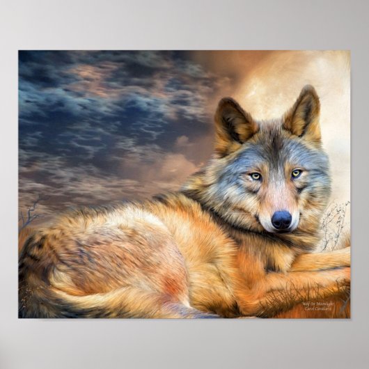 Wolf in Moonlight Fine Art Poster/Print Poster (Voorkant)