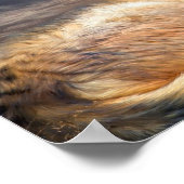 Wolf in Moonlight Fine Art Poster/Print Poster (Hoek)