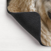 Wolf in schaapskleren maakt podcast muismat (Hoek)