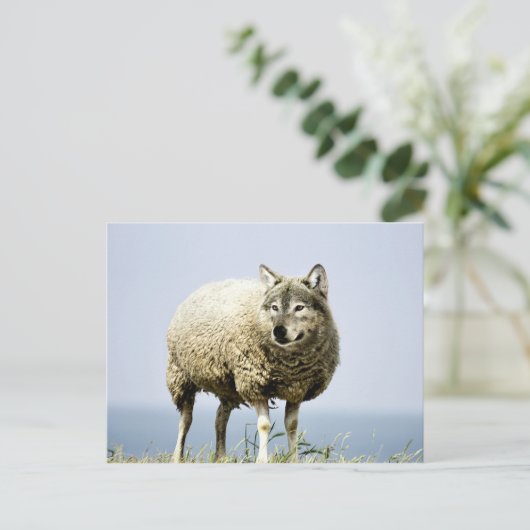 Wolf in Sheep Clothing Briefkaart (Staand voorkant)