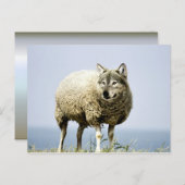 Wolf in Sheep Clothing Briefkaart (Voorkant / Achterkant)