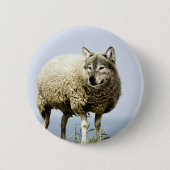 Wolf in Sheep Clothing Ronde Button 5,7 Cm (Voorkant)