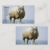 Wolf in Sheep Clothing Visitekaartje (Voorkant / Achterkant)
