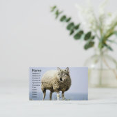 Wolf in Sheep Clothing Visitekaartje (Staand voorkant)