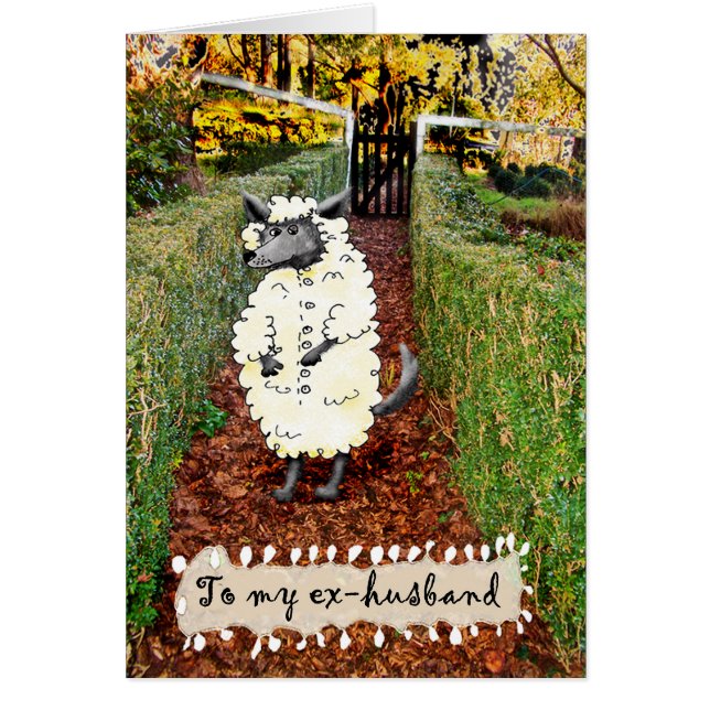 Wolf in Sheep's Clothing, Ex Husband, humor. (Voorkant)