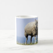 Wolf in sheeps clothing koffiemok (Center)