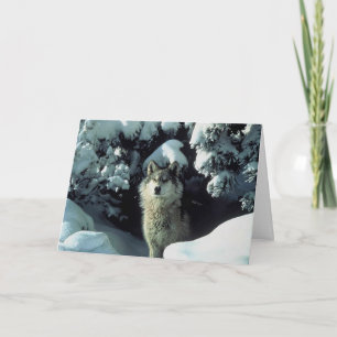 Wolf in sneeuw bedankkaart