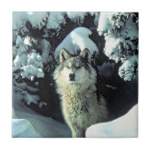 Wolf in Winter Bos Tegel Kunst Tegeltje (Voorkant)