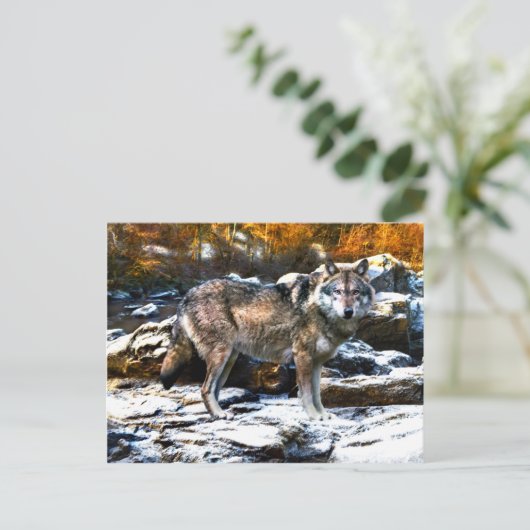 "Wolf in Winter" Briefkaart (Staand voorkant)