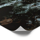 Wolf in Winter Poster (Hoek)