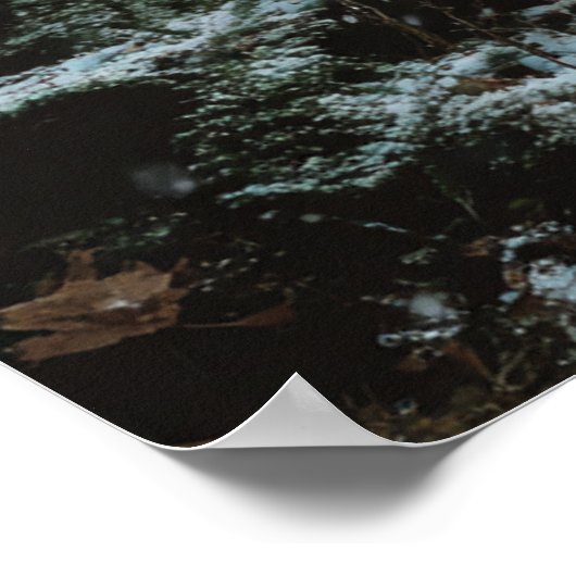 Wolf in Winter Poster (Hoek)