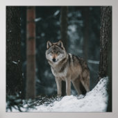 Wolf in Winter Poster (Voorkant)
