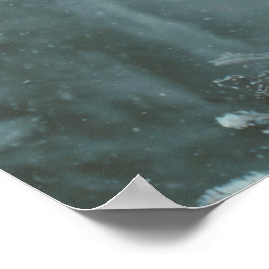 Wolf in Winter Poster (Hoek)