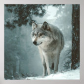 Wolf in Winter Poster (Voorkant)