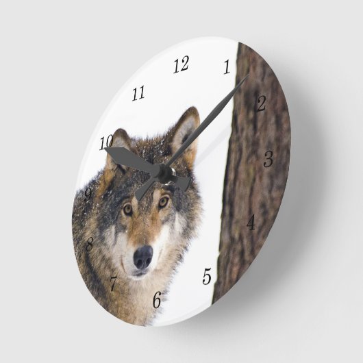 Wolf in Winter Snow Ronde Klok (Hoek)