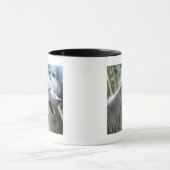 Wolf in Yellowstone 2 Mok (Midden)