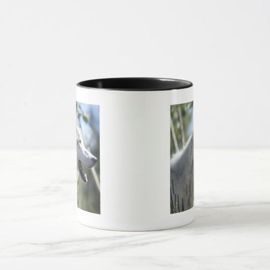 Wolf in Yellowstone 2 Mok (Midden)