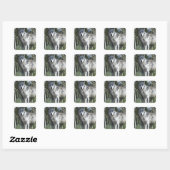 Wolf in Yellowstone Vierkante Sticker (Vel)