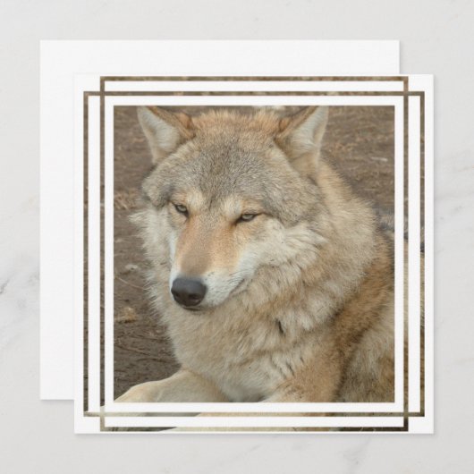 Wolf Invitation Kaart (Voorkant / Achterkant)