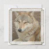 Wolf Invitation Kaart (Voorkant)