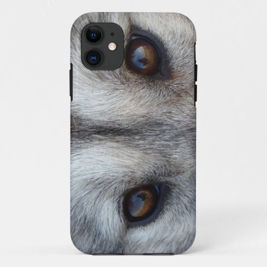 Wolf iPhone 5 Hoesje Wolf Pup Eyes Hoesje Wolf Gif (Achterkant)