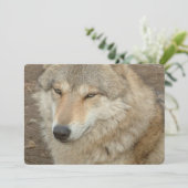 Wolf Kaart (Staand voorkant)
