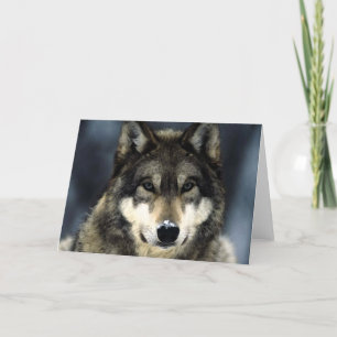 Wolf Kaart