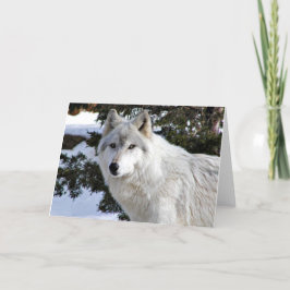 wolf kaart