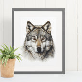 Wolf Kop Portret  Poster