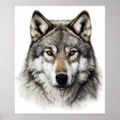 Wolf Kop Portret  Poster (Voorkant)
