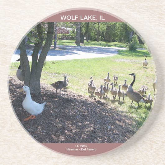 WOLF LAKE ONDERZETTER (Voorkant)