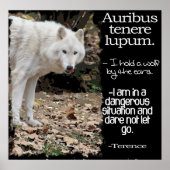 WOLF LATIN QUOTE TERRENCE POSTER (Voorkant)
