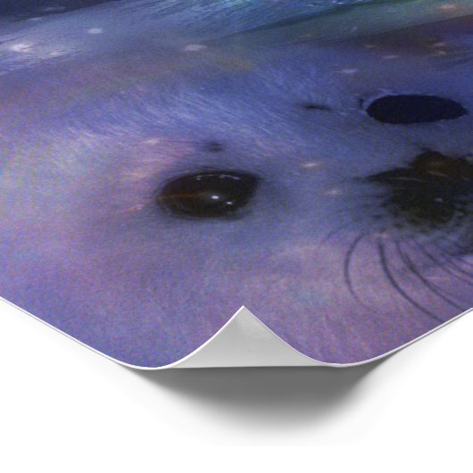 Wolf - Leader of the Pack Poster (Hoek)