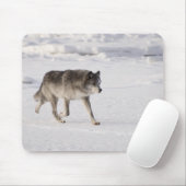 Wolf loopt in de sneeuw muismat (Met muis)