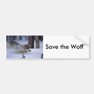 Wolf loopt in sneeuw bumpersticker