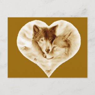Wolf Love Briefkaart