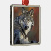 Wolf Lovers Art Metalen Ornament (Rechts)