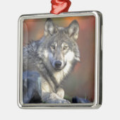 Wolf Lovers Art Metalen Ornament (Links)
