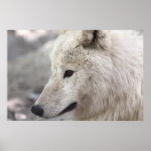 Wolf Lovers Art Poster (Voorkant)