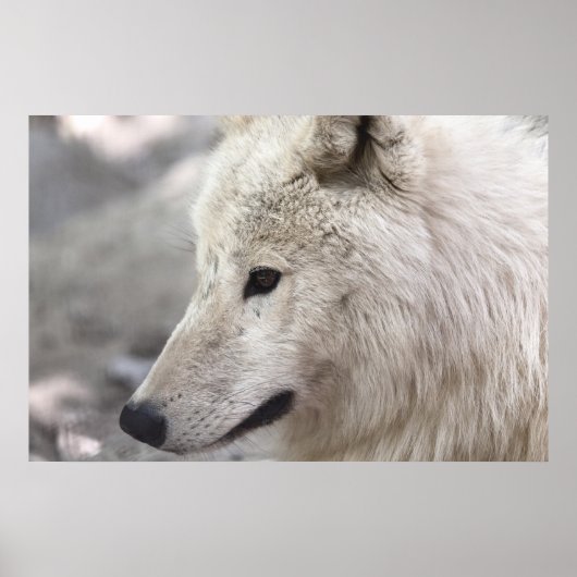 Wolf Lovers Art Poster (Voorkant)