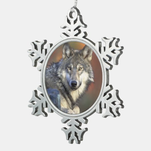 Wolf Lovers Kerstmis Tin Sneeuwvlok Ornament (Rechts)